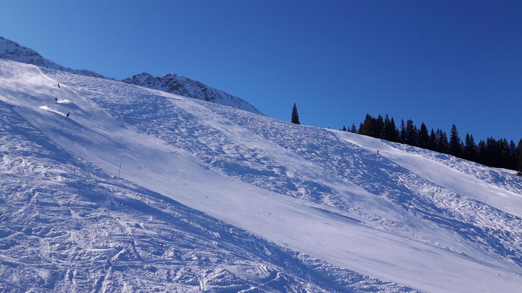 Hotel Alpengasthof Lowen Bad Hindelang Exterior foto